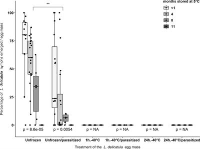 Effects of Freezing Lycorma delicatula Egg Masses on Nymph Emergence and Parasitization by Anastatus orientalis